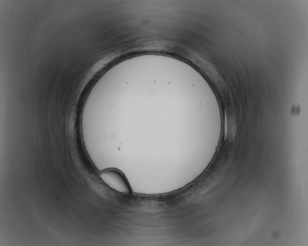 X0000101400483200807281006