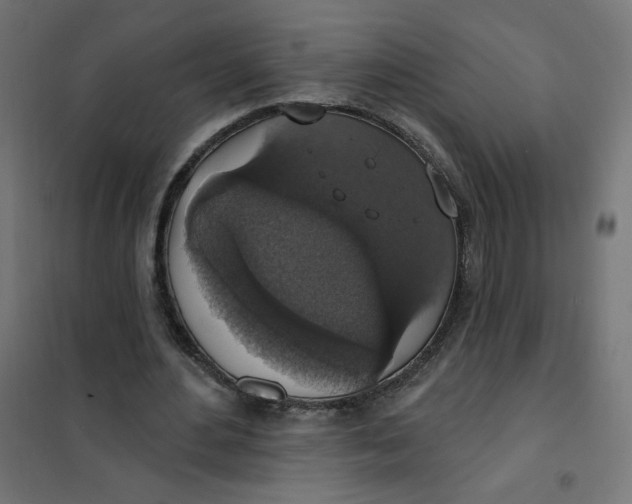 X0000101400484200807281006