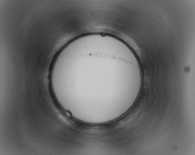 X0000101400485200807281006