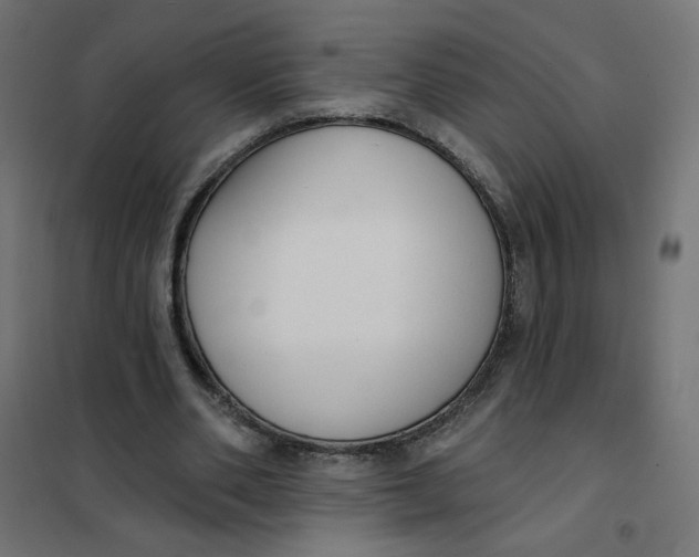 X0000101400486200807281005