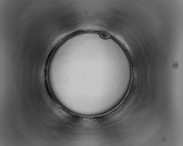 X0000101400487200807281005