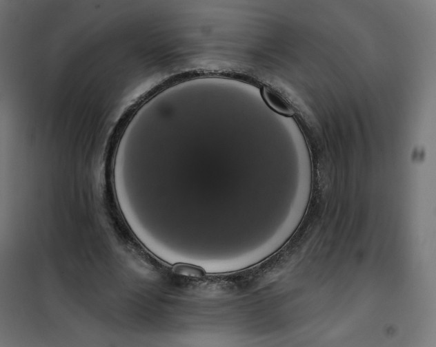 X0000101400488200807281005