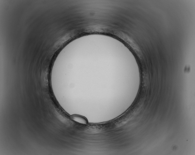 X0000101400489200807281005