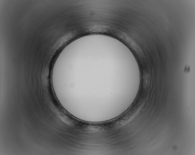 X0000101400490200807281005