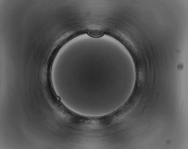 X0000101400492200807281005