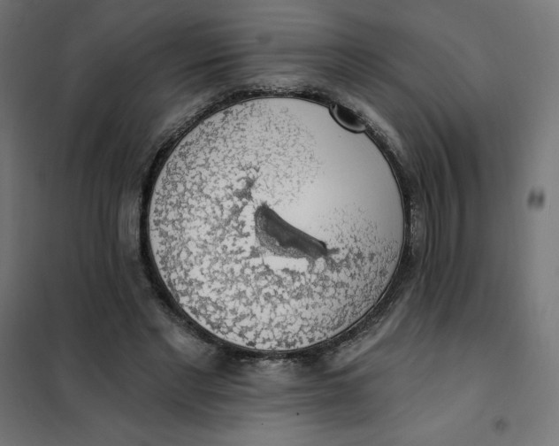 X0000101400493200807281005