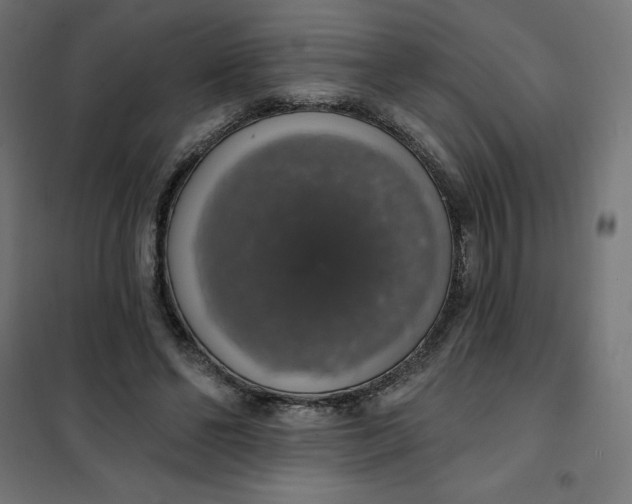 X0000101400494200807281005