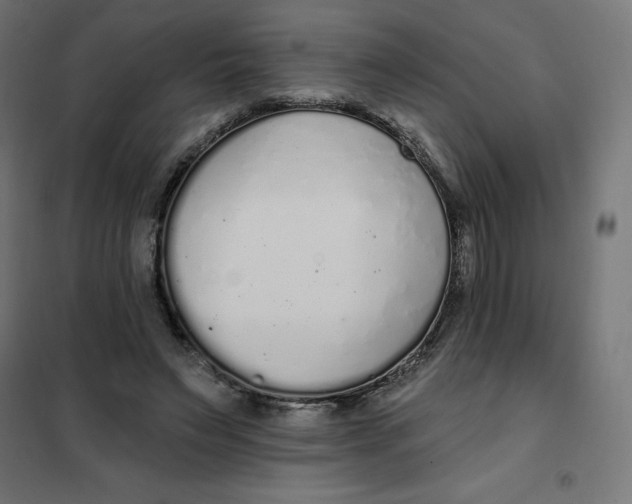 X0000101400495200807281005