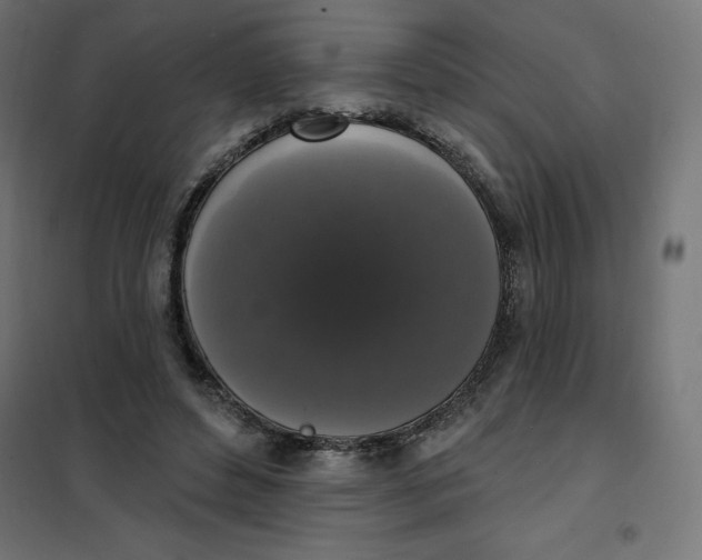 X0000101400496200807281005