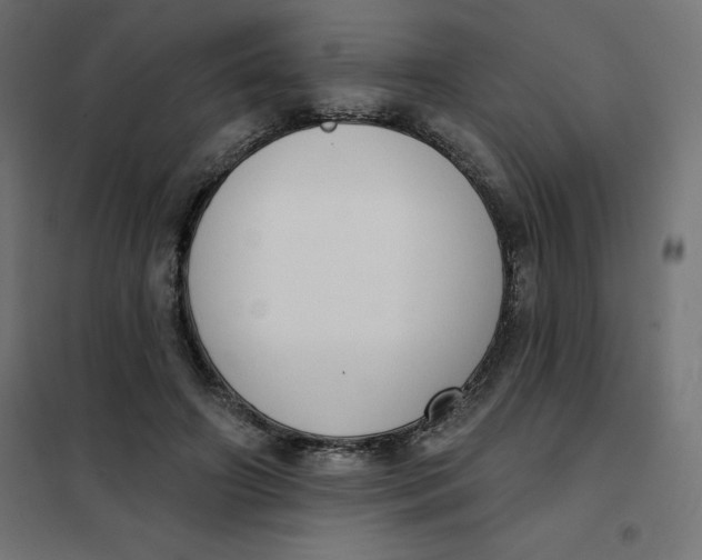 X0000101400498200807281005