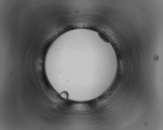 X0000101400499200807281005