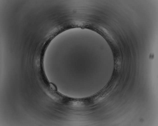 X0000101400500200807281005