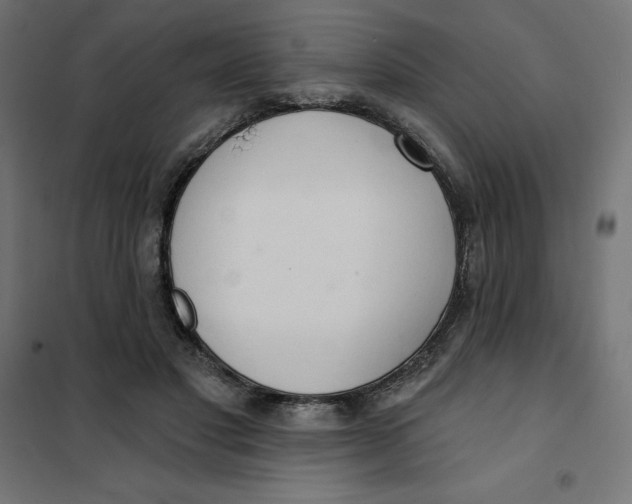 X0000101400501200807281005