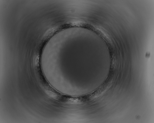 X0000101400502200807281005