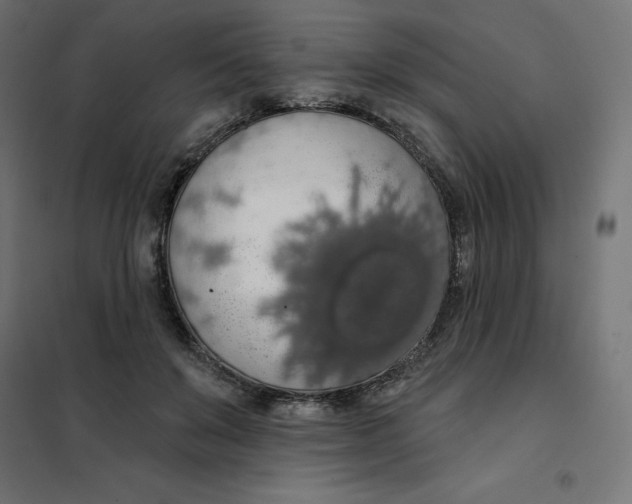 X0000101400503200807281005