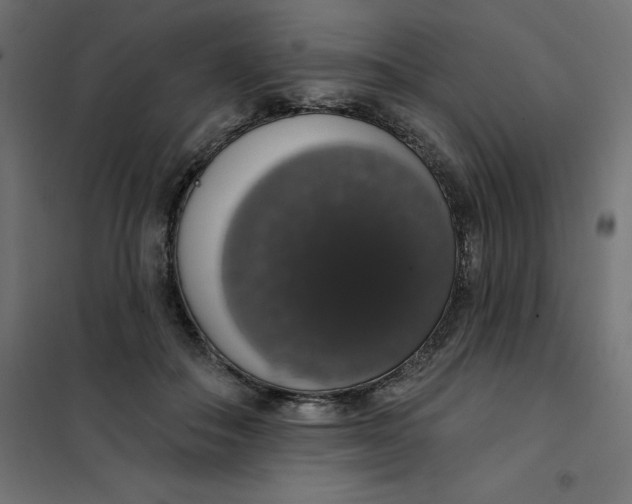 X0000101400506200807281005