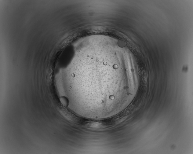 X0000101400507200807281005