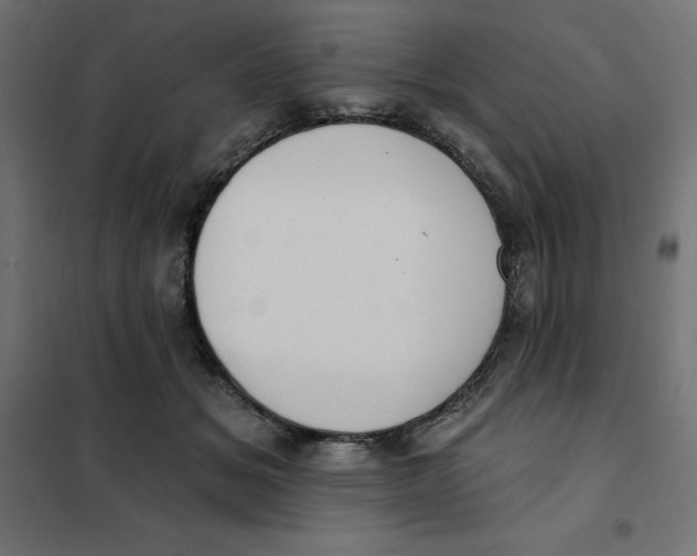 X0000101400509200807281005