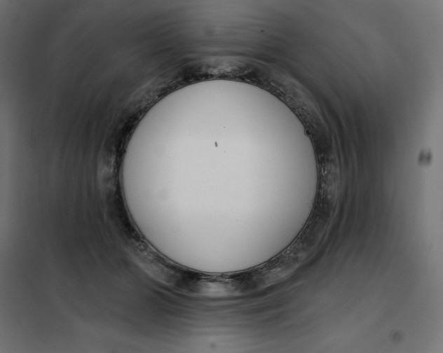 X0000101400510200807281005