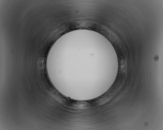 X0000101400514200807281005