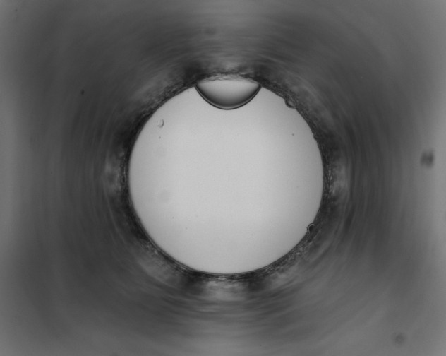 X0000101400515200807281005