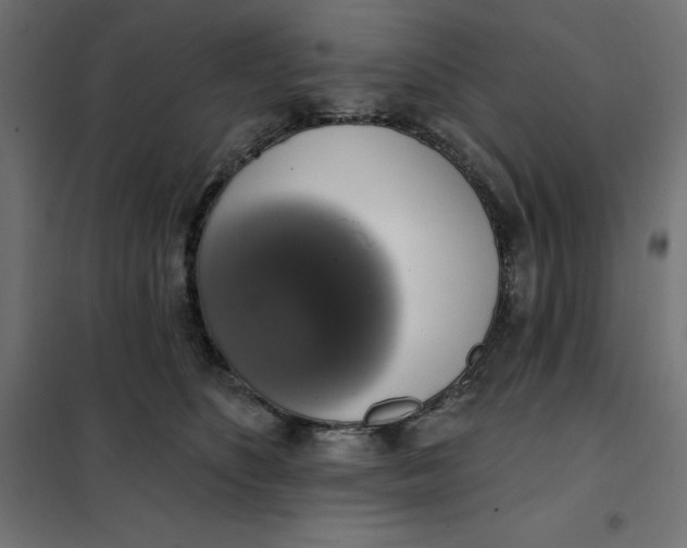 X0000101400516200807281005