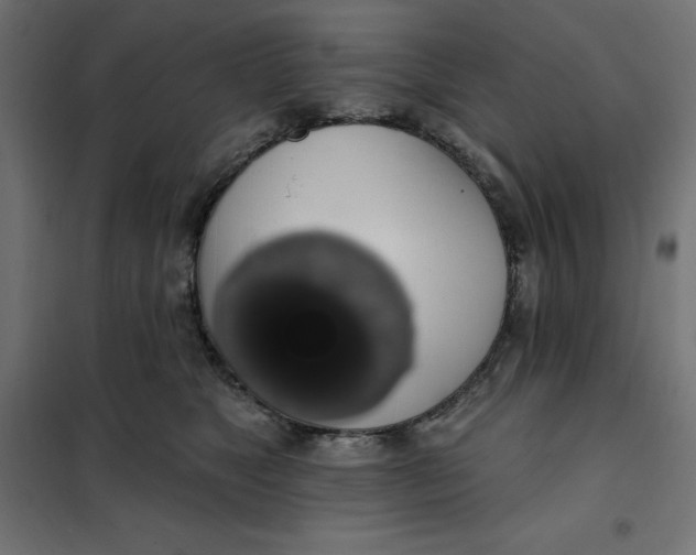 X0000101400517200807281005