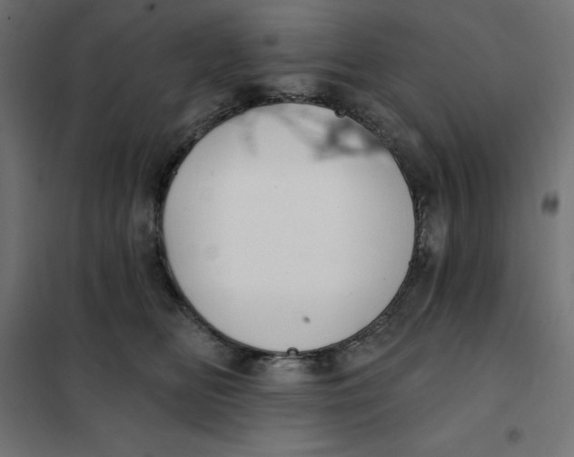 X0000101400518200807281005