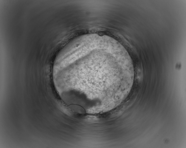 X0000101400519200807281005