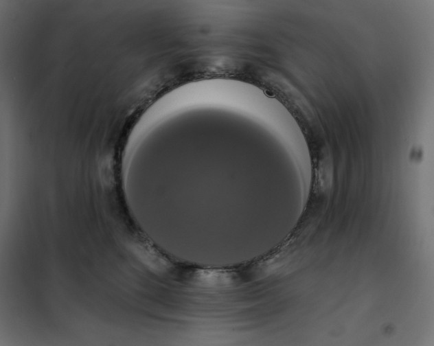 X0000101400520200807281005