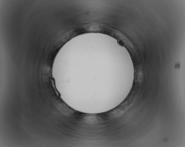 X0000101400521200807281005