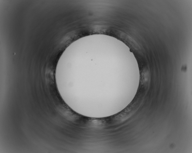 X0000101400522200807281005