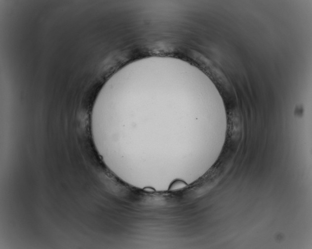 X0000101400523200807281005