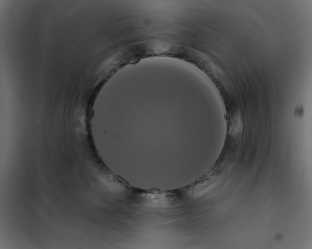 X0000101400524200807281005