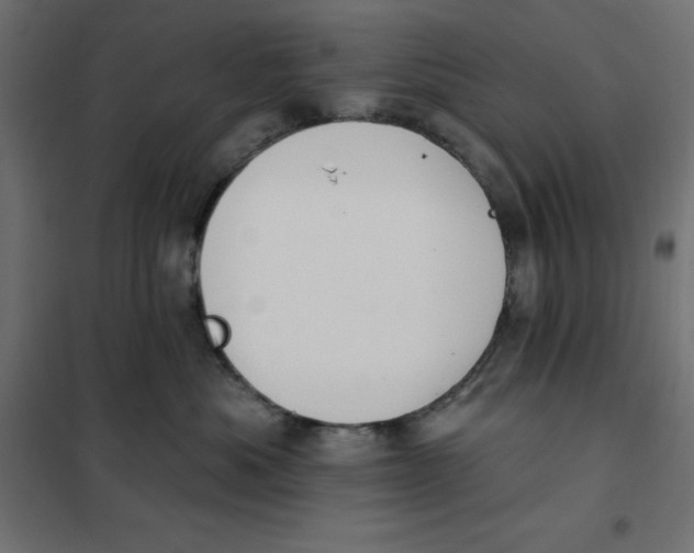 X0000101400525200807281005