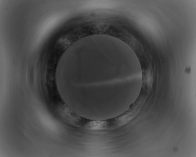 X0000101400526200807281005