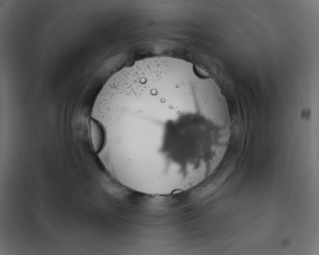 X0000101400527200807281005