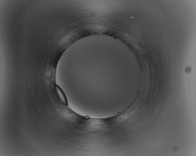 X0000101400528200807281005