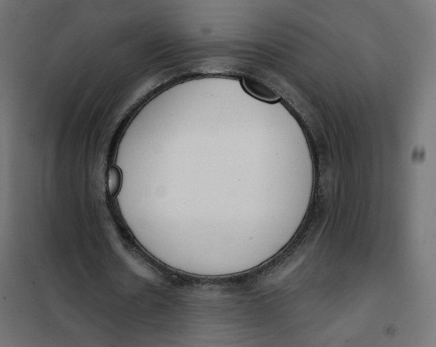 X0000101400530200807281004