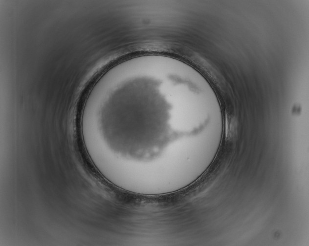 X0000101400531200807281004