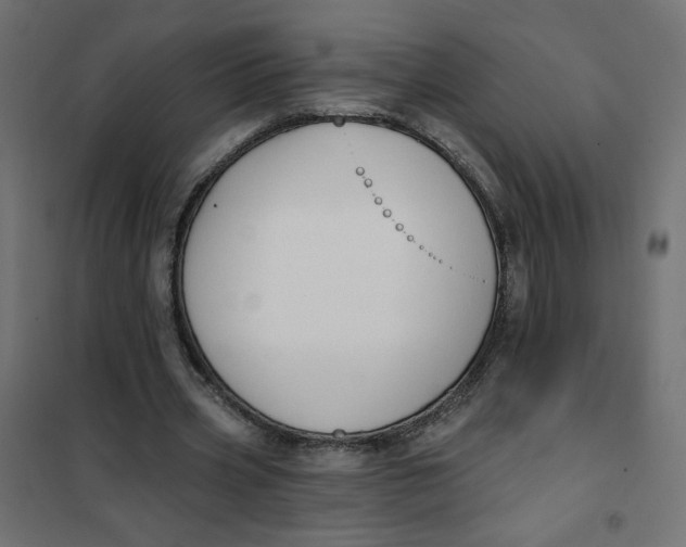 X0000101400533200807281004