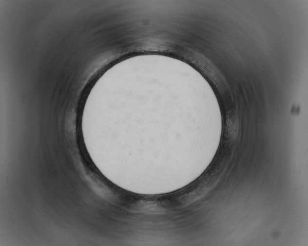 X0000101400534200807281004