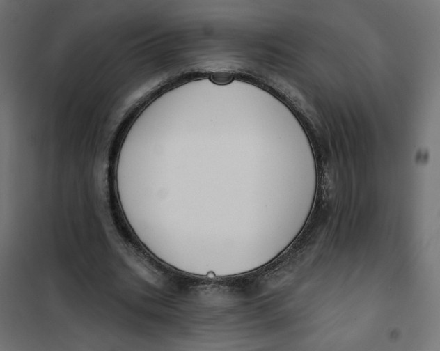 X0000101400535200807281004