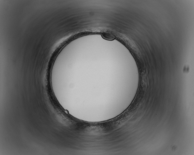 X0000101400536200807281004