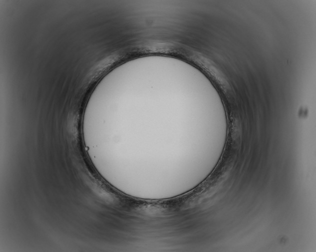 X0000101400537200807281004