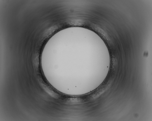 X0000101400541200807281004