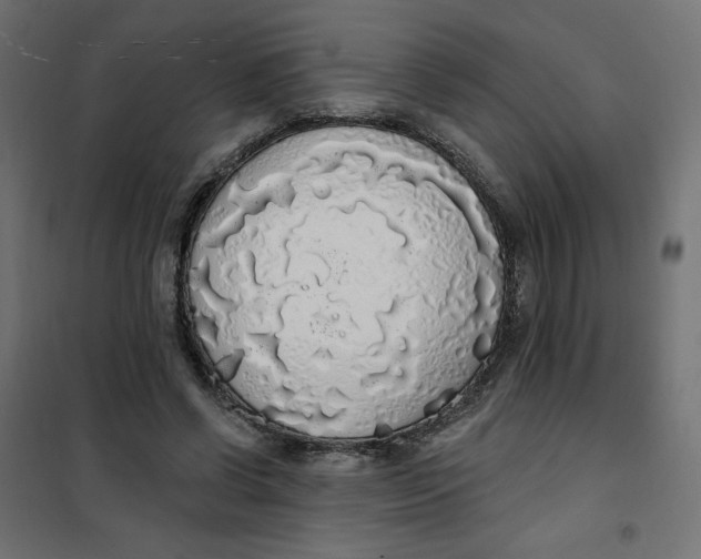 X0000101400542200807281004