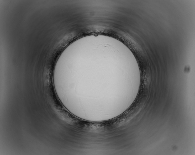 X0000101400546200807281004