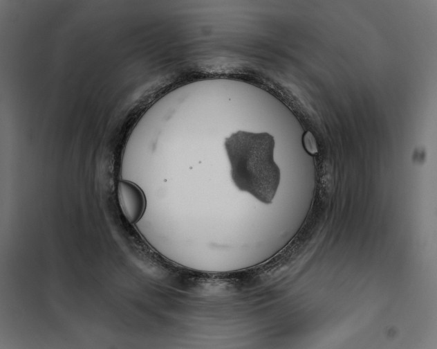 X0000101400547200807281004