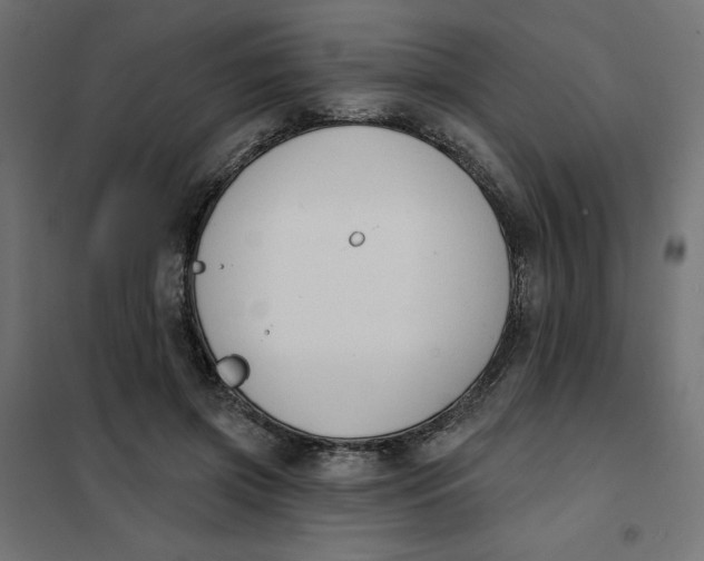 X0000101400549200807281004